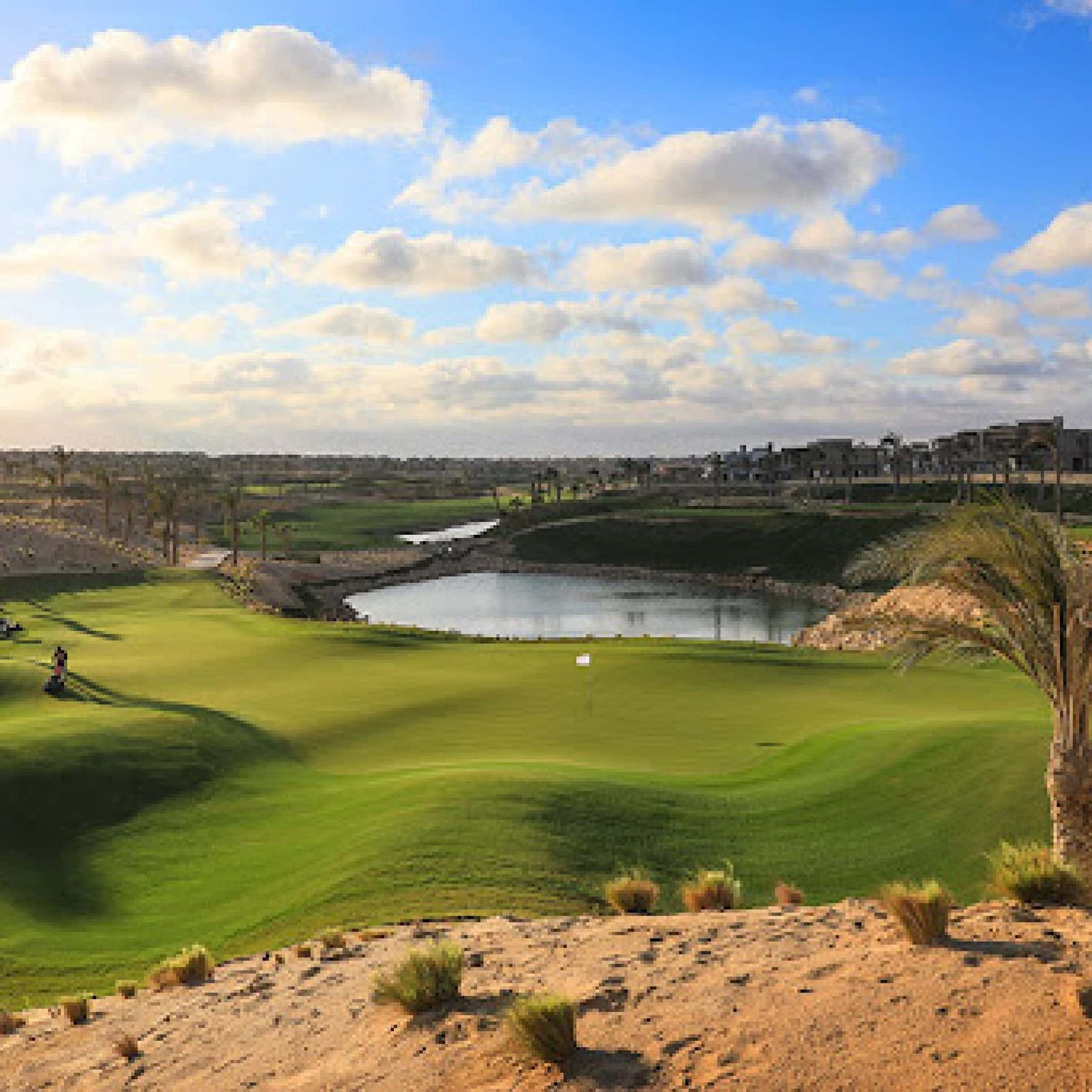 New Giza Golf - Golf Egypt Travel